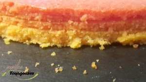 Snapchat-3623484249428619994