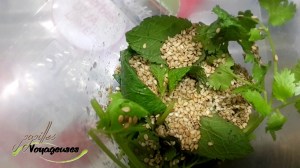 Snapchat-8535316585055001600