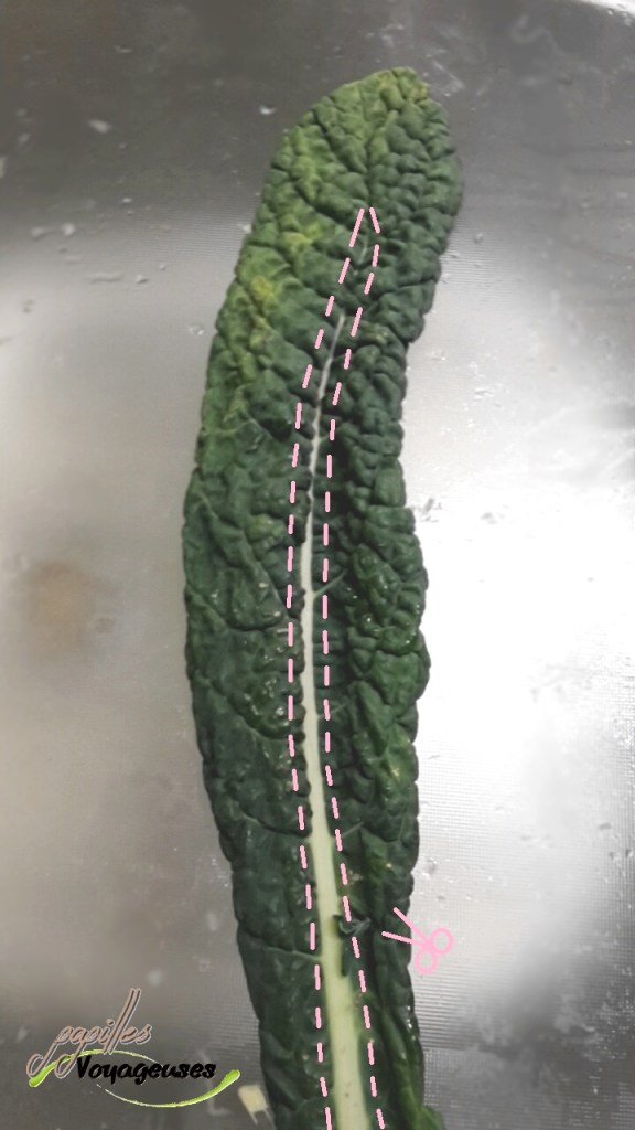 Snapchat-8435032232455724973